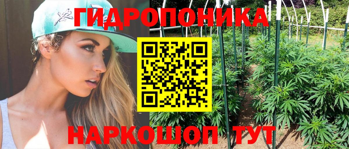 Каннабис гибрид  Вход с VPN  Бошки Шишки THC 21%  МАРИХУАНА индика  Новоалександровск  Марихуана марихуана 